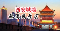 mm131黑哟哟中国陕西-西安城墙旅游风景区